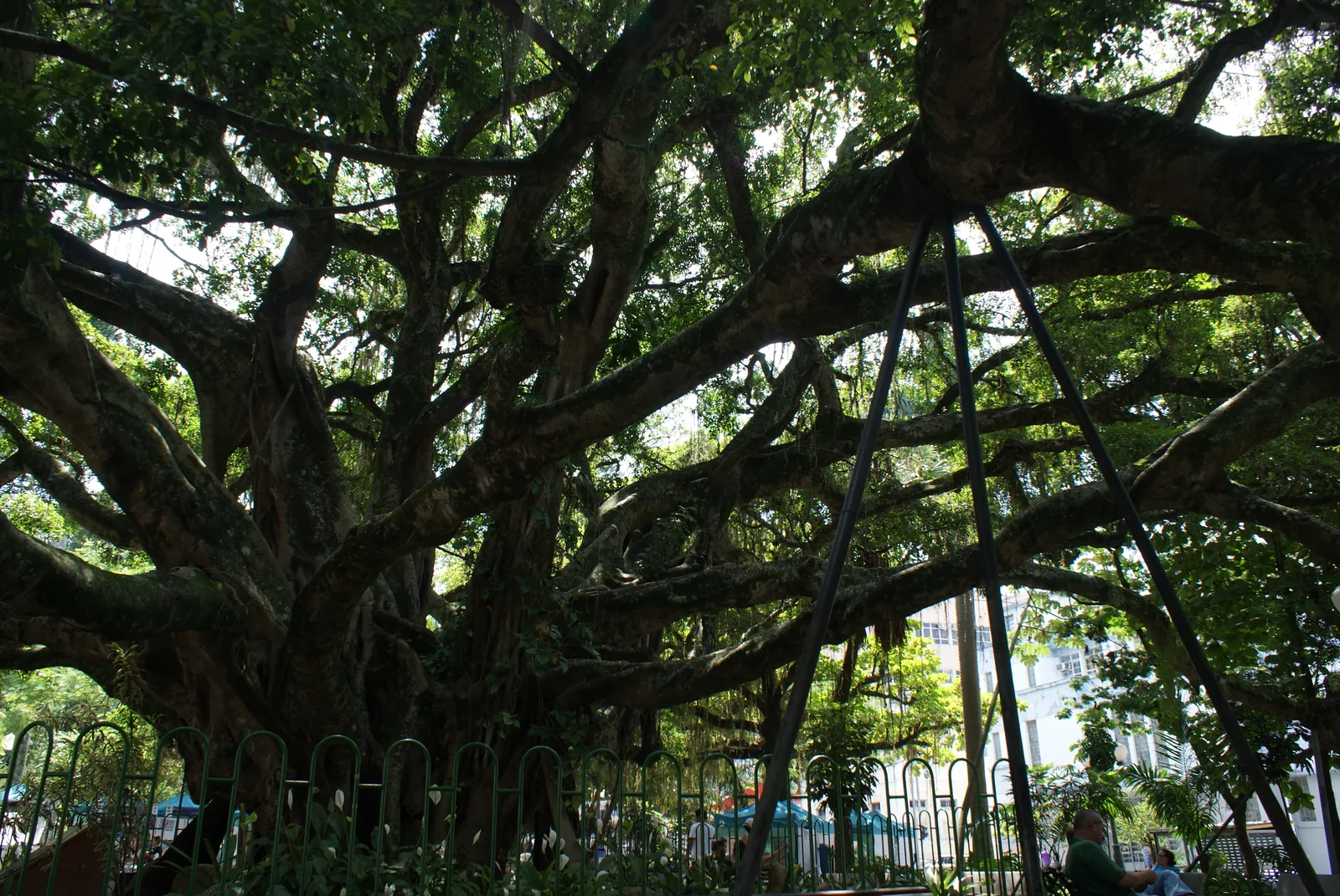 Praça XV de Novembro — Florianópolis, Santa Catarina