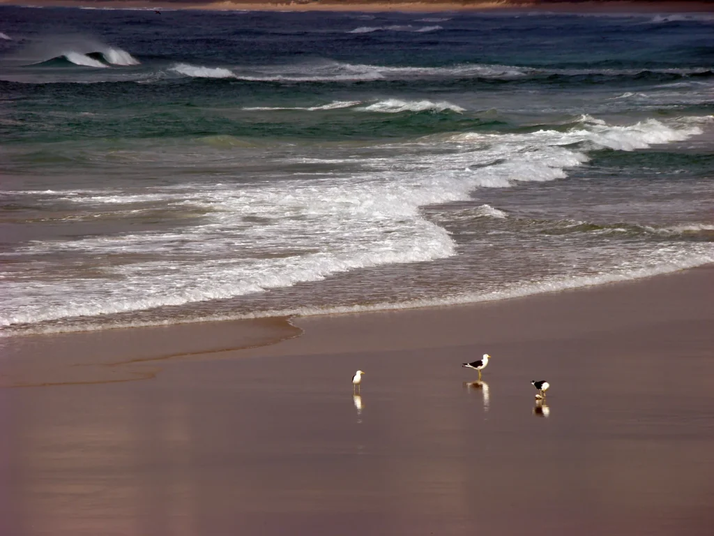 Praia da Joaquina — Florianópolis, Santa Catarina
