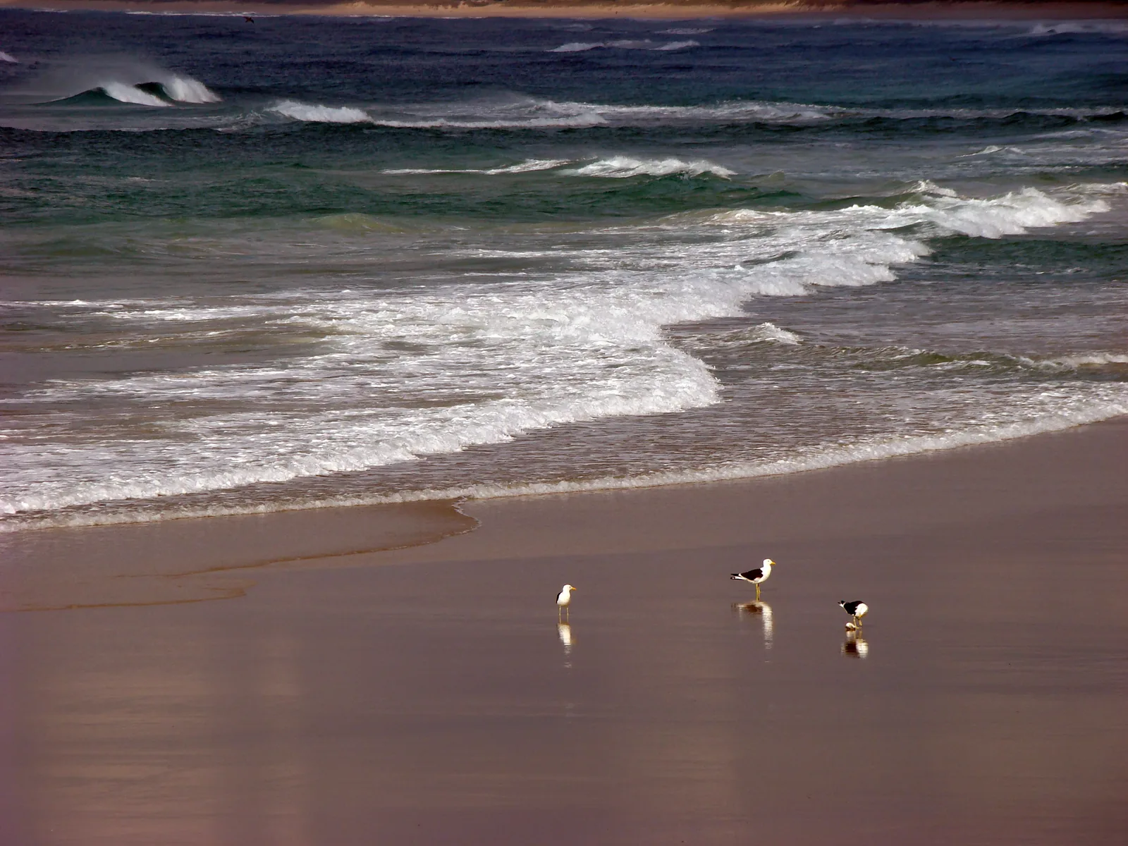 Praia da Joaquina — Florianópolis, Santa Catarina