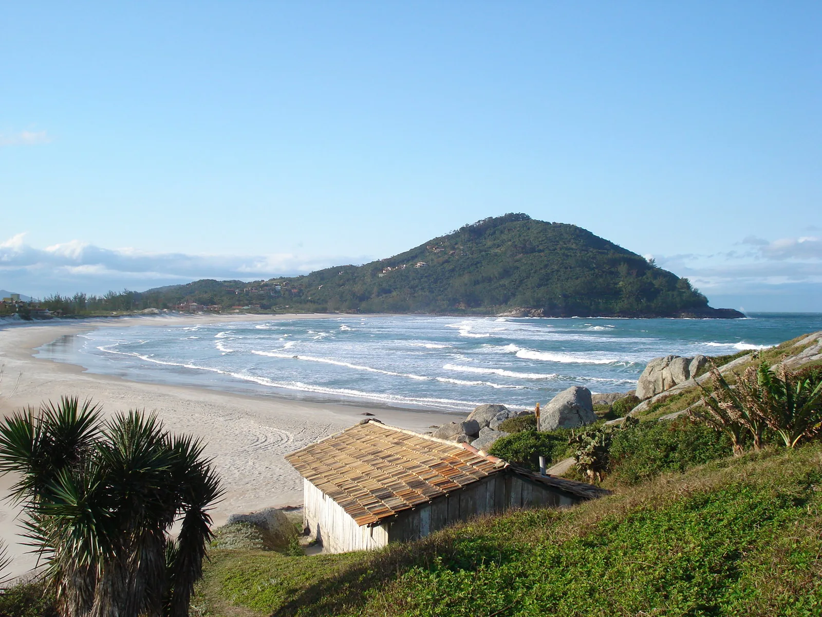 Praia da Ferrugem vista do alto, com faixa de areia, ondas e morro coberto de vegetação ao fundo; em primeiro plano, o telhado de um rancho e plantas de restinga