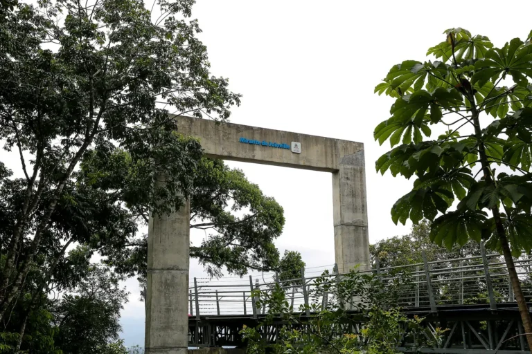 Mirante de Joinville