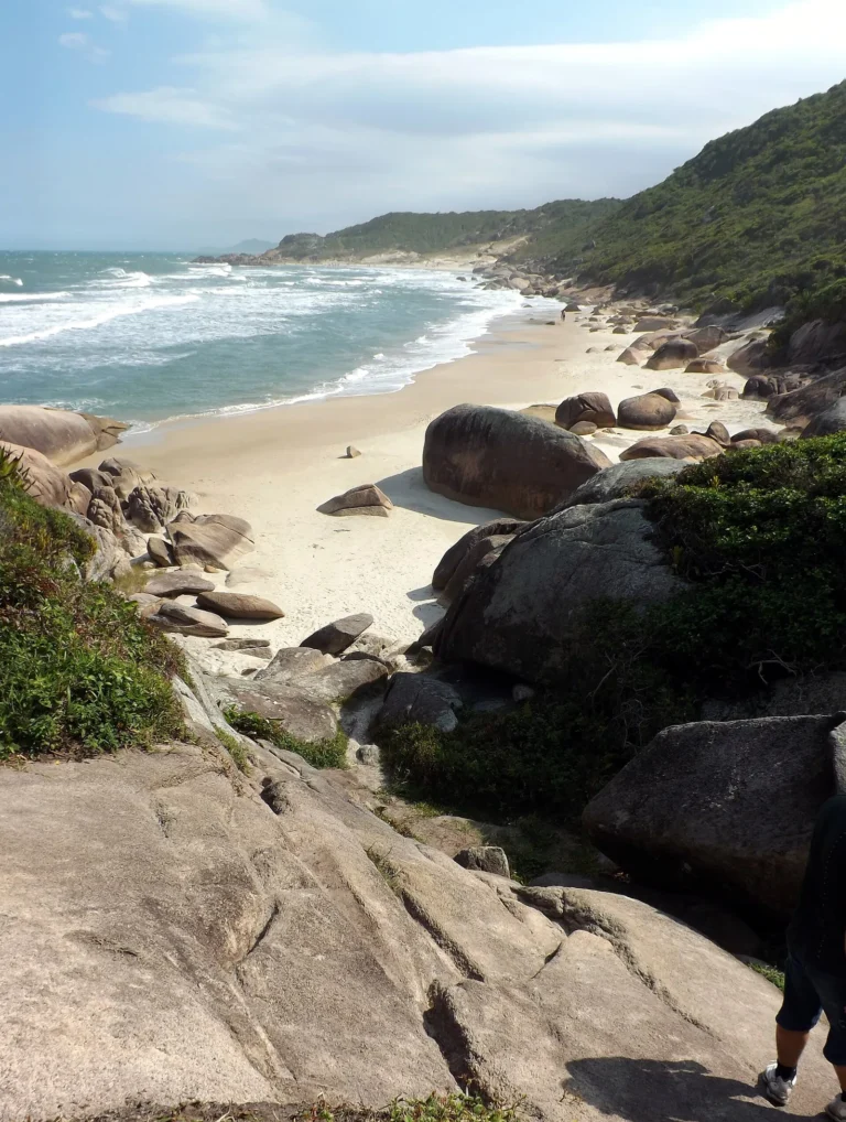 Praia de Palhoça com pedras no primeiro plano e morro coberto de mata ao fundo