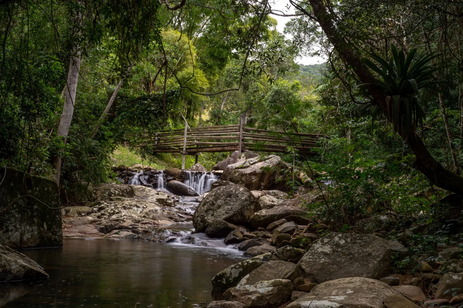 Pequenas quedas d'água da Cachoeira do Siriú entre pedras, sob uma ponte rústica de madeira, com poço de água escura em primeiro plano e mata atlântica fechada em volta