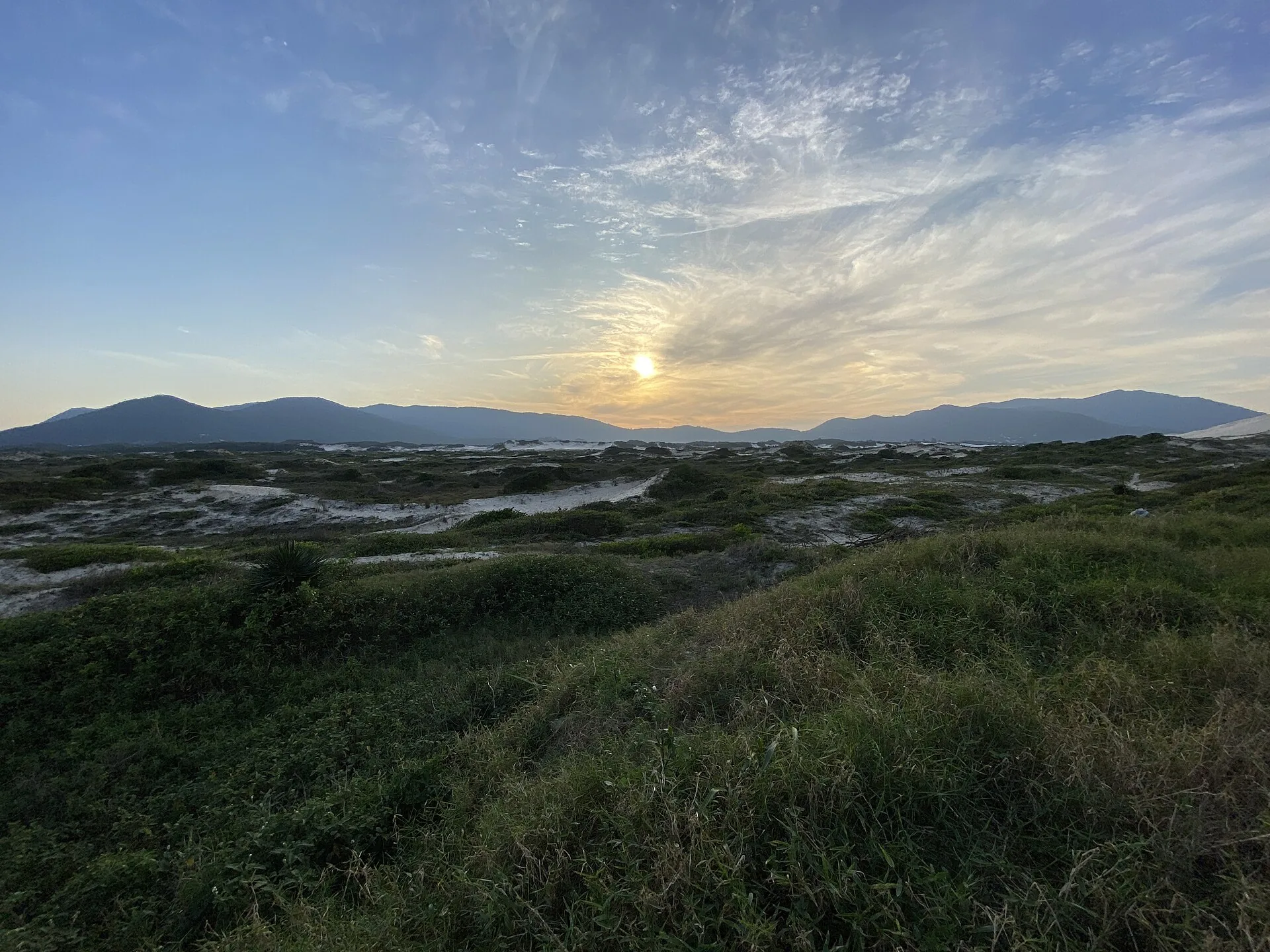 Vegetação de restinga sobre as dunas do parque ao entardecer, com morros e céu com nuvens no horizonte