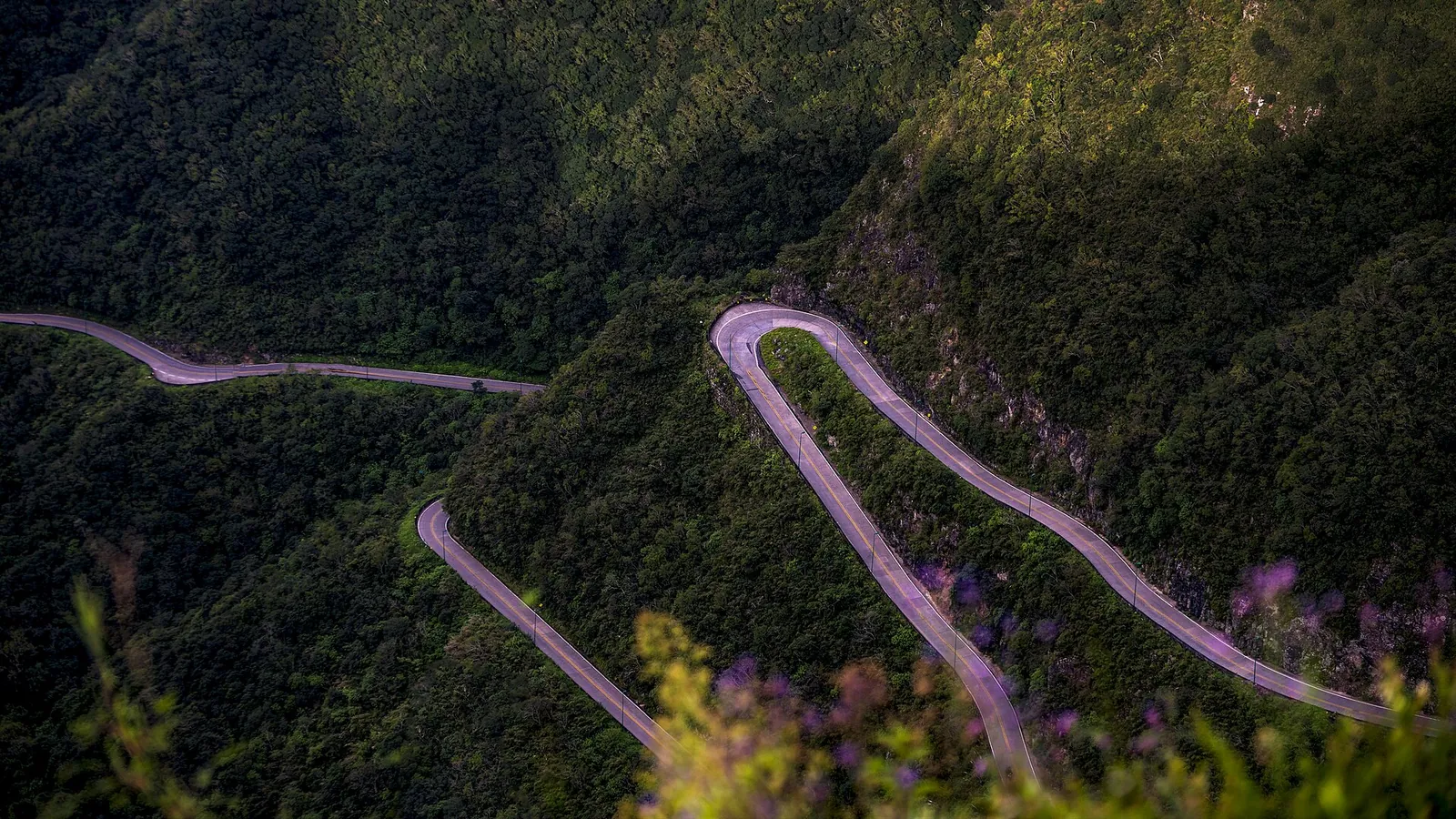 Curvas da estrada da Serra do Rio do Rastro serpenteando entre encostas cobertas de mata verde, em Santa Catarina