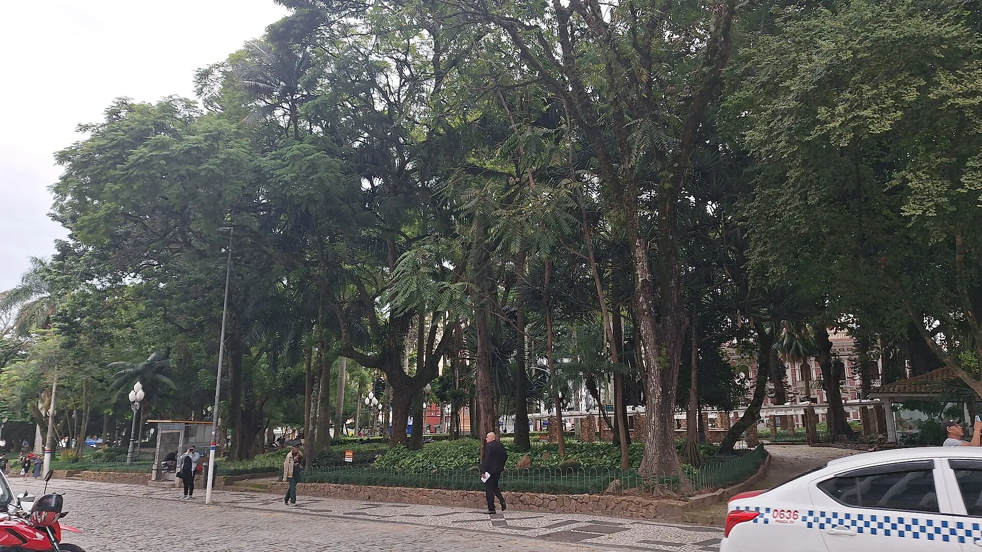 Vista da Praça XV de Novembro a partir da rua, com árvores altas, caminhos e pessoas circulando