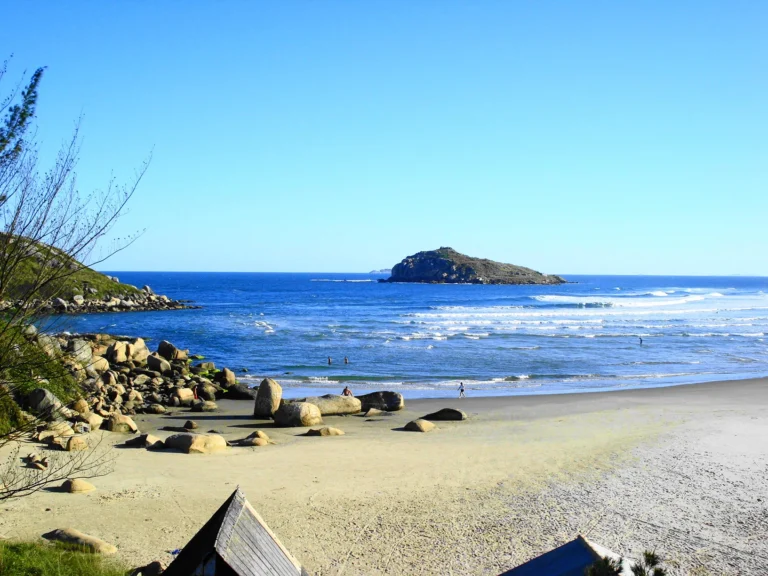 Faixa de areia da Praia da Vila entre vegetação de restinga, com mar azul e uma ilha ao fundo